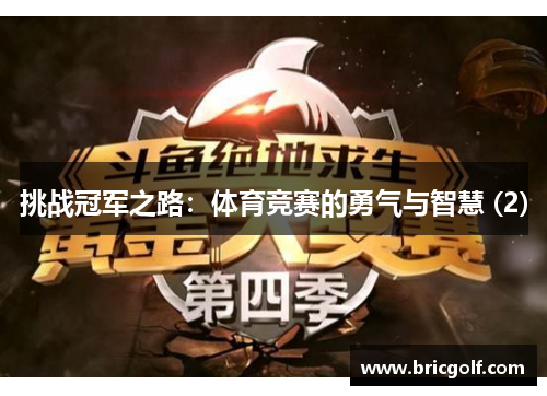 挑战冠军之路：体育竞赛的勇气与智慧 (2)