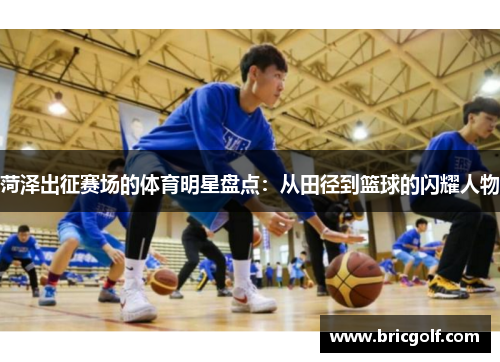 菏泽出征赛场的体育明星盘点：从田径到篮球的闪耀人物