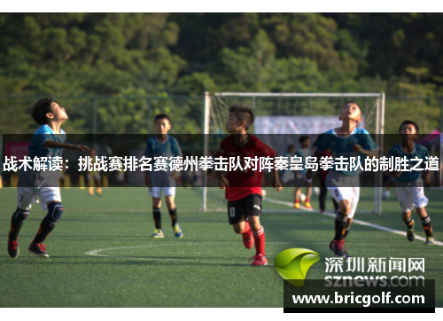 战术解读：挑战赛排名赛德州拳击队对阵秦皇岛拳击队的制胜之道