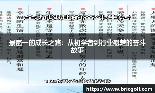 景菡一的成长之路：从初学者到行业翘楚的奋斗故事