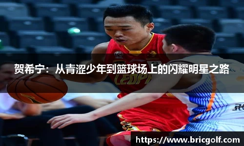 贺希宁：从青涩少年到篮球场上的闪耀明星之路